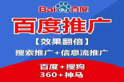 专业SEM服务公司案例分析报告